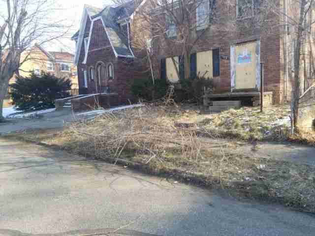 Testing again(59).jpg